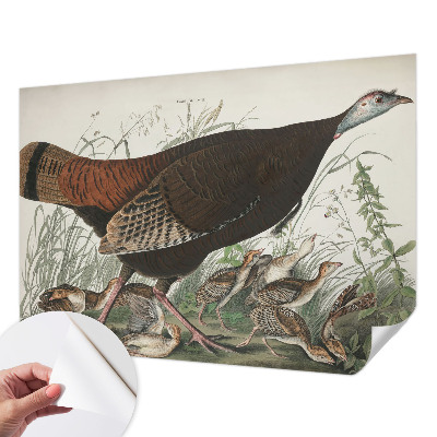 Fototapeta samoprzylepna z nadrukiem z motywem „Naturalna harmonia”