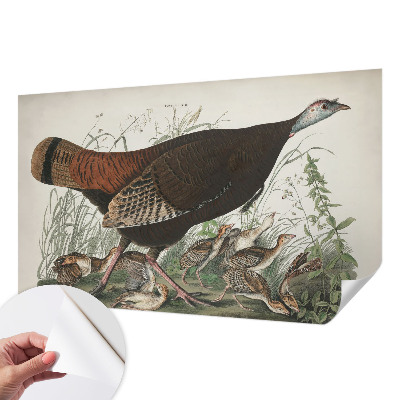 Fototapeta samoprzylepna z nadrukiem z motywem „Naturalna harmonia”