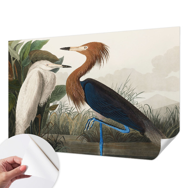 Tapeta fotograficzna Tapeta fotograficzna