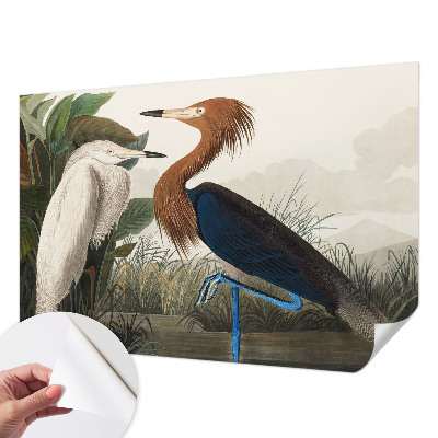 Tapeta fotograficzna Ptaki w roślinach