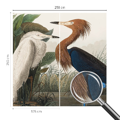 Tapeta fotograficzna Tapeta fotograficzna