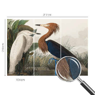 Tapeta fotograficzna Tapeta fotograficzna