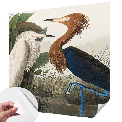 Tapeta fotograficzna Tapeta fotograficzna