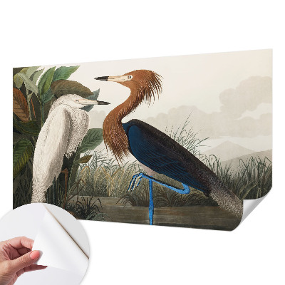 Tapeta fotograficzna Tapeta fotograficzna