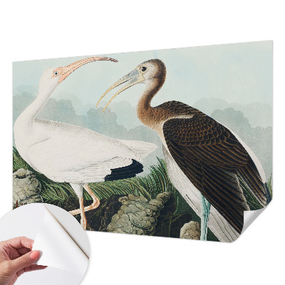 Fototapeta na ścianę Ptasia para