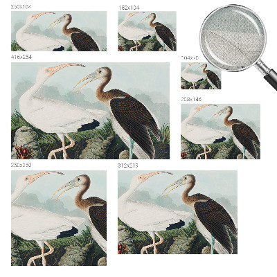 Fototapeta na ścianę Fototapeta na ścianę