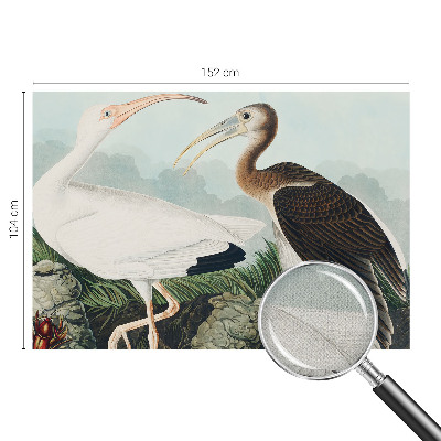 Fototapeta na ścianę Fototapeta na ścianę