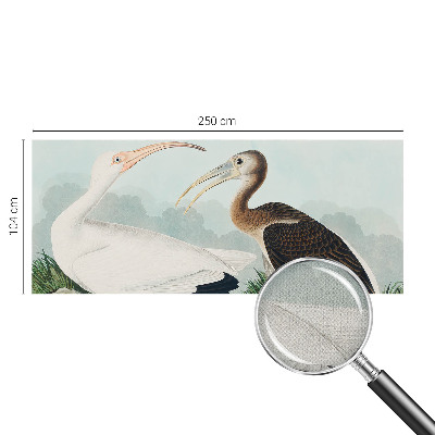Fototapeta na ścianę z motywem ptasiej pary