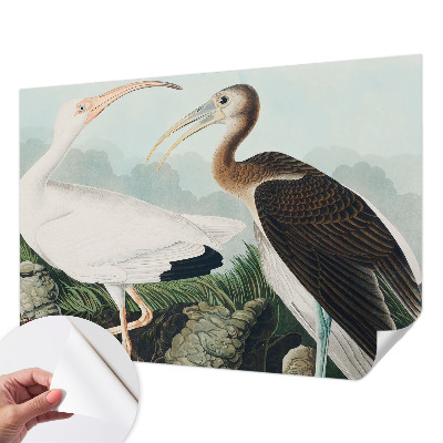 Fototapeta na ścianę Fototapeta na ścianę