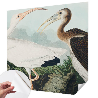 Fototapeta na ścianę Fototapeta na ścianę