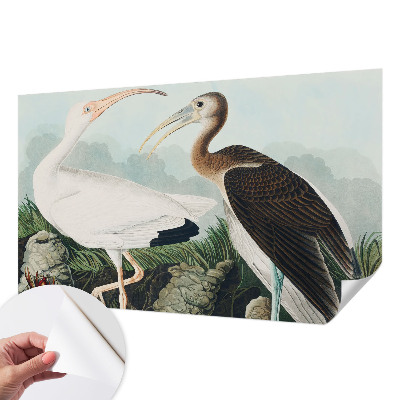 Fototapeta na ścianę Fototapeta na ścianę