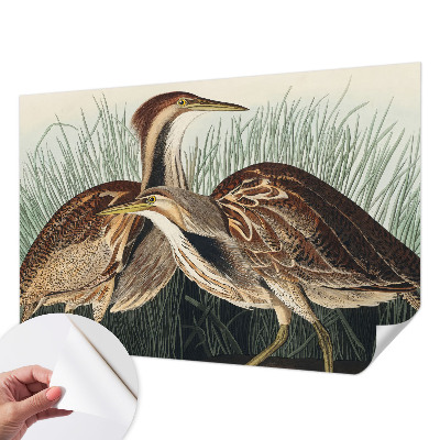 Tapeta fotograficzna samoprzylepna Tapeta fotograficzna samoprzylepna