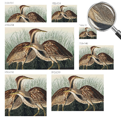 Tapeta fotograficzna samoprzylepna Tapeta fotograficzna samoprzylepna