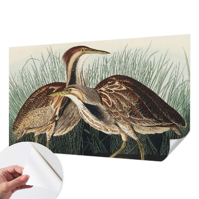 Tapeta fotograficzna samoprzylepna Tapeta fotograficzna samoprzylepna