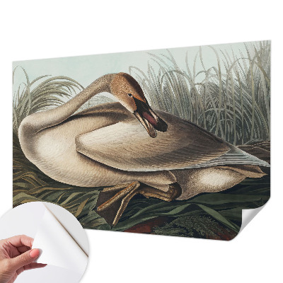 Nowoczesna fototapeta do salonu Naturalny ptak