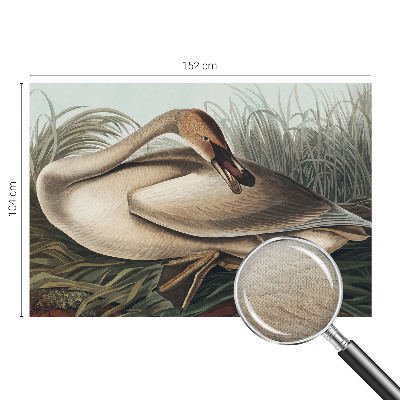 Nowoczesna fototapeta do salonu z motywem naturalnego ptaka