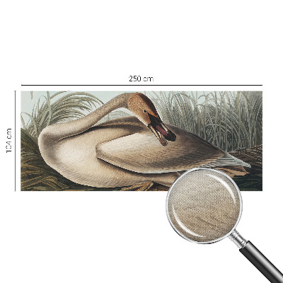 Nowoczesna fototapeta do salonu z motywem naturalnego ptaka