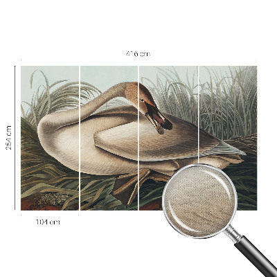 Nowoczesna fototapeta do salonu z motywem naturalnego ptaka