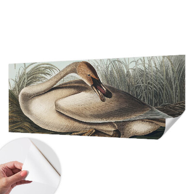 Nowoczesna fototapeta do salonu z motywem naturalnego ptaka
