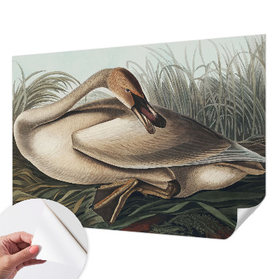 Nowoczesna fototapeta do salonu z motywem naturalnego ptaka