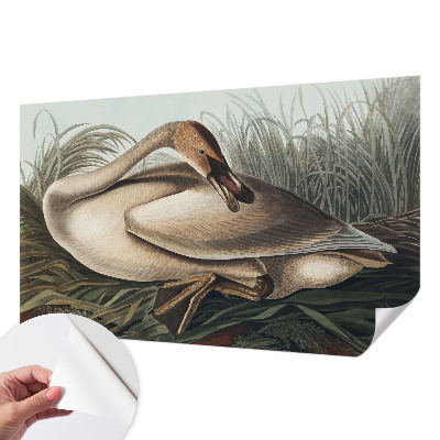 Nowoczesna fototapeta do salonu Nowoczesna fototapeta do salonu