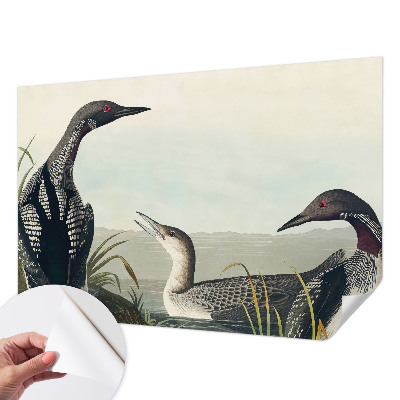 Fototapeta samoprzylepna z nadrukiem Ptaki nad wodą