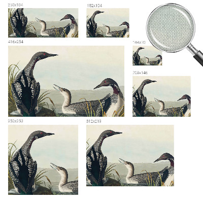 Fototapeta samoprzylepna z nadrukiem Fototapeta samoprzylepna z nadrukiem