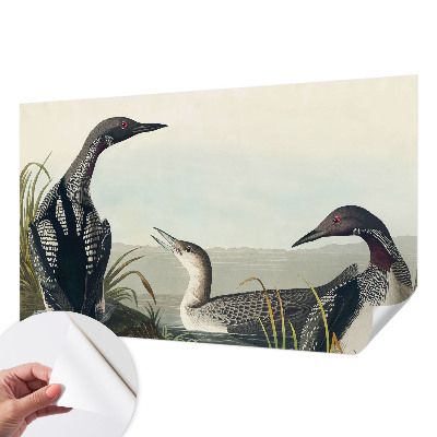 Fototapeta samoprzylepna z nadrukiem Fototapeta samoprzylepna z nadrukiem