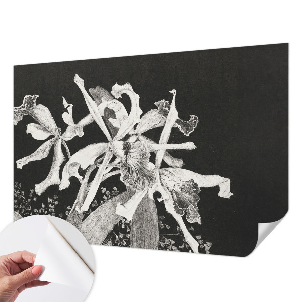 Fototapeta samoprzylepna do sypialni z ilustracją orchidei