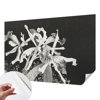 Fototapeta samoprzylepna do sypialni z ilustracją orchidei