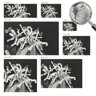 Fototapeta samoprzylepna do sypialni z ilustracją orchidei