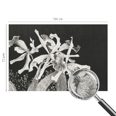 Fototapeta samoprzylepna do sypialni z ilustracją orchidei