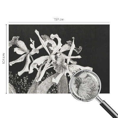 Fototapeta samoprzylepna do sypialni z ilustracją orchidei