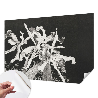 Fototapeta samoprzylepna do sypialni z ilustracją orchidei