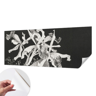 Fototapeta samoprzylepna do sypialni z ilustracją orchidei