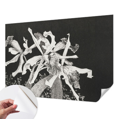 Fototapeta samoprzylepna do sypialni z ilustracją orchidei