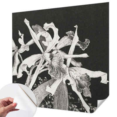 Fototapeta samoprzylepna do sypialni z ilustracją orchidei