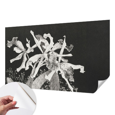 Fototapeta samoprzylepna do sypialni z ilustracją orchidei