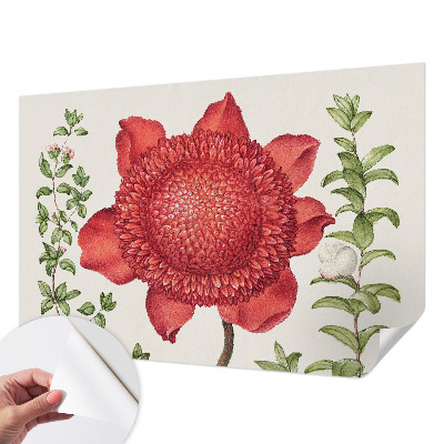 Tapeta fotograficzna Kwiatowa elegancja