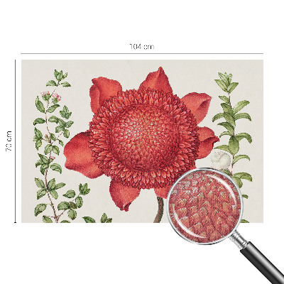 Tapeta fotograficzna Tapeta fotograficzna