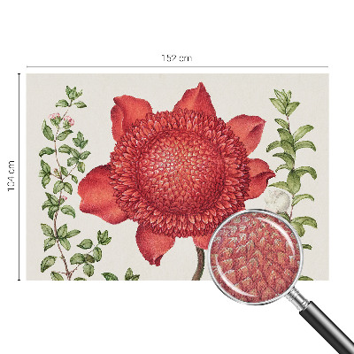 Tapeta fotograficzna Tapeta fotograficzna