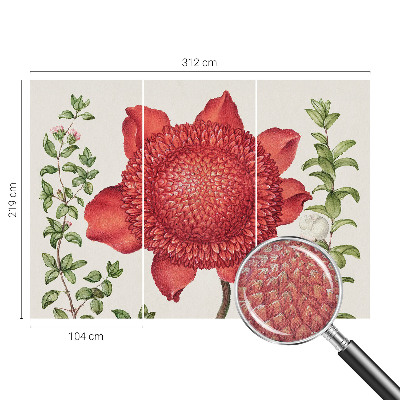 Tapeta fotograficzna Tapeta fotograficzna