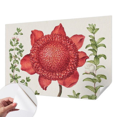 Tapeta fotograficzna Tapeta fotograficzna