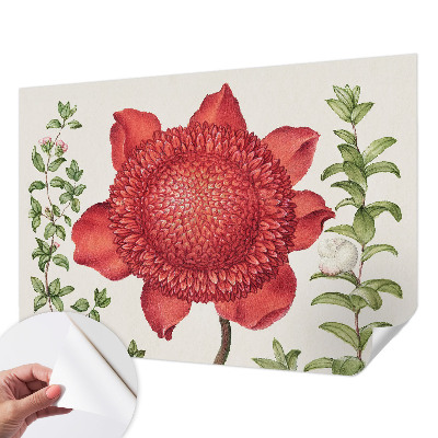 Tapeta fotograficzna Tapeta fotograficzna