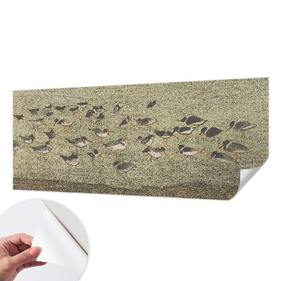 Fototapeta na ścianę Fototapeta na ścianę