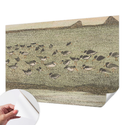 Fototapeta na ścianę z motywem 'Ptasi spokój'