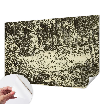 Tapeta fotograficzna z motywem magicznego kręgu