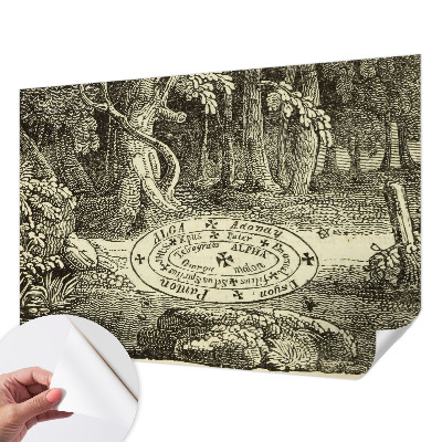 Tapeta fotograficzna z motywem magicznego kręgu