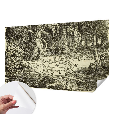 Tapeta fotograficzna z motywem magicznego kręgu