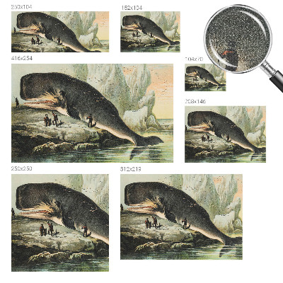 Tapeta fotograficzna Tapeta fotograficzna